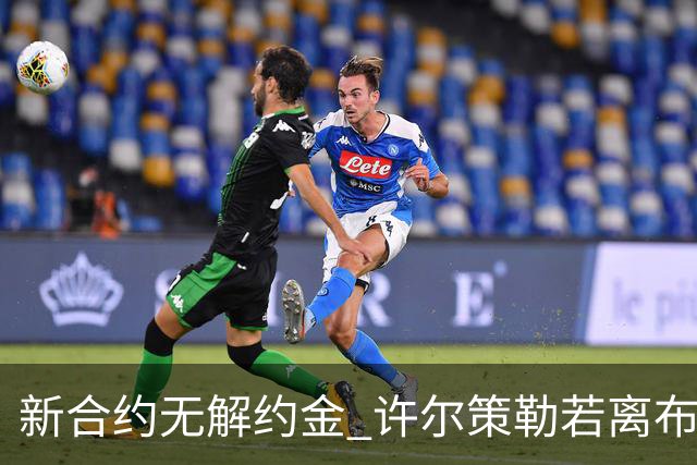 新合约无解约金 许尔策勒若离布莱顿转会费创纪录